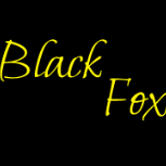 BlackFoxQQ